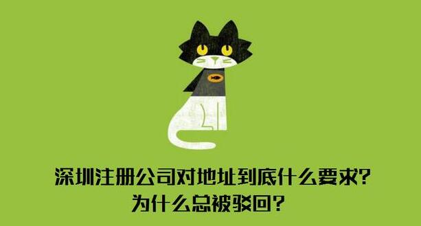 記賬報(bào)稅會計(jì)服務(wù)到位 事事順心更省心